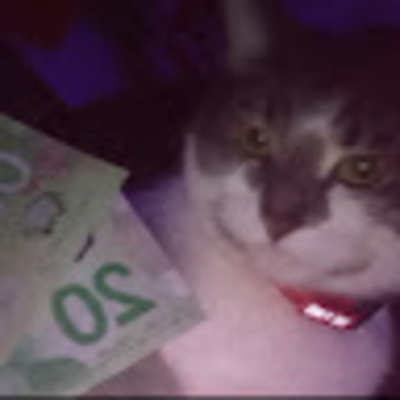 Meet your Posher, Kailey - Picture 1 of 1